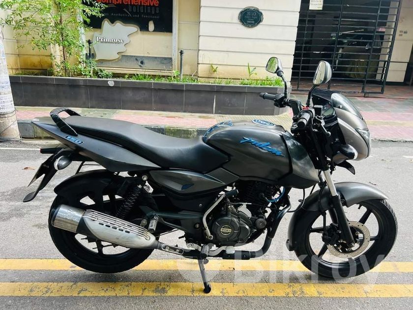 Bajaj Pulsar Neon SD 2019 For Sale Mirpur Bikroy