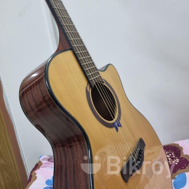 Dotch Md C Solid Spruce Top Premium Acoustic Guitar For Sale In