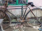 Phoenix Bicycle for sale