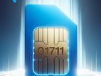 01711 25AB25 GP Vip Sim Card Prime