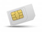 017117X1515 GP NEW SIM