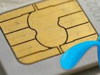 017119911y7 || 017119977y7 Vip GP Cards