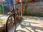 Duranta Bicycle for sale
