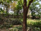 1 bigha land rent for factory/warehouse in Ashulia Savar (B1)