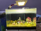 1 feet China aquarium & Fish with all accessories