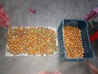 ১ কুড়ি দেশি গাছ পাকা সুপারি