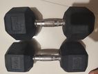 10 Kg Hex Dumbbells 1 Pair