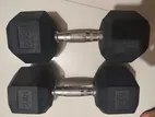 10 Kg Hex Dumbbells 1 Pair