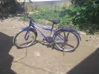 Duranta Bicycle for Sale