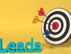 100 Lead Generation (Best price)