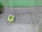Bird Cages