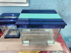 ১১/৮.৫ এবং উচ্চতা ৯ ইঞ্চ Aquarium