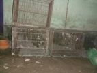 Cage for sell