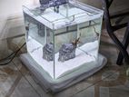 12 cube Aquarium Tank