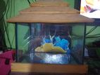 12 inch aquarium sell