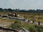 12 Katha, Land Sale @ Berayet , Badda.
