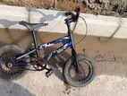 Bicycle for sale