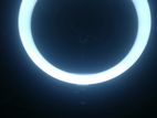 12" Ring Fill Light