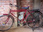 Bicycle for sell