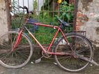 Bicycle for sell