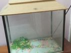 15 by 12 Inch Aquarium