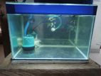 1.5 feet aquarium tank