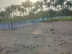 ১৫ ফিট রাস্তার সাথে গাছগাছালি সহ উচু জমি