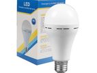 15 WATT AC DC LED BULB