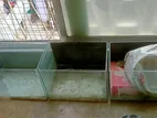 1.5 X 1 Feet Aquarium
