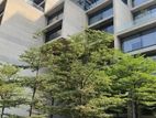 15,000 SqFt New Commercial Property Rent In Tejgaon Gulshan Link Road