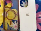 16 Pro Max (case)