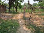 ১৬ শতাংশ জমি বিক্রি করা হবে।