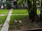 17-Katha Commercial Land For Sale In Middle Badda
