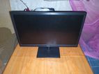 19" Dell Monitor