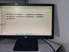 19" HP Monitor