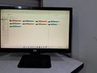 19" HP Monitor