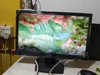 19 in LED Monitor 100% fresh HP