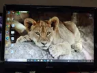 19" LED মনিটর gigasonic (VGA+HDMI port)BOX+Adapter+Monitor