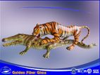 19. Tiger-Crocodile - বাঘ-কুমির