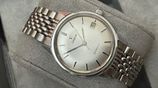 1960s OMEGA Seamaster 166.002 Automatic Watch, Cal.565
