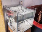1feet Cube Aquarium. Crystal Glass.