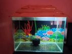 2 Feet Full Aquarium – Perfect Condition