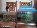 2 piece 18 inch aquarium sell kora hobe