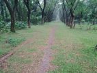 2 Plots_2.5 Katha Each_for Sale @ Navana Valley Project, Ashulia
