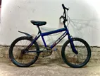 20" cycle