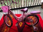 20" Girl Bicycle