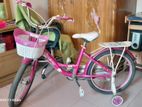 20 inch Ladies Bicycle