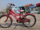 ২০ ইঞ্চি সাইকেল