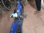 Bicycle for sell