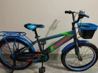 20" Phoenix Bicycle